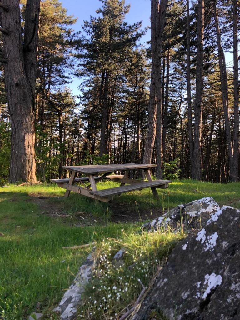 Cuccaro Club - Val Di Vara E Cinque Terre Rocchetta di Vara Eksteriør billede