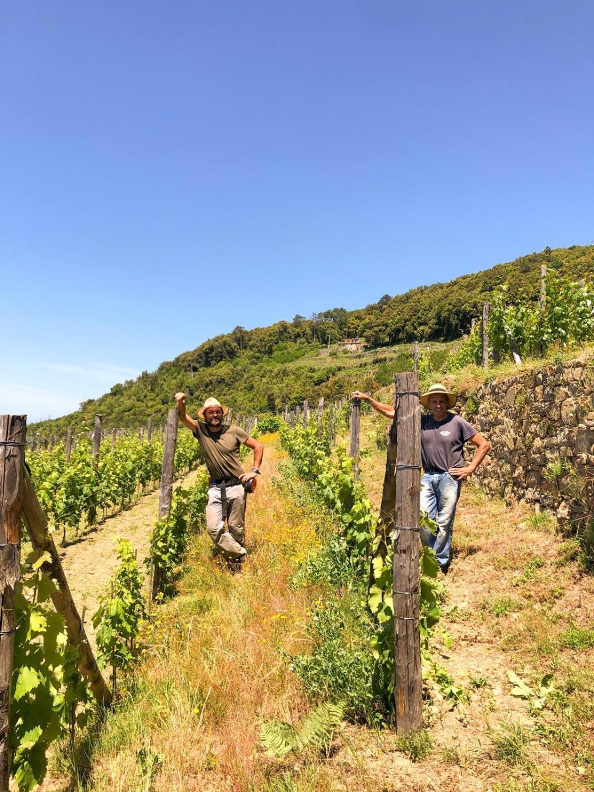 Cuccaro Club - Val Di Vara E Cinque Terre Rocchetta di Vara Eksteriør billede